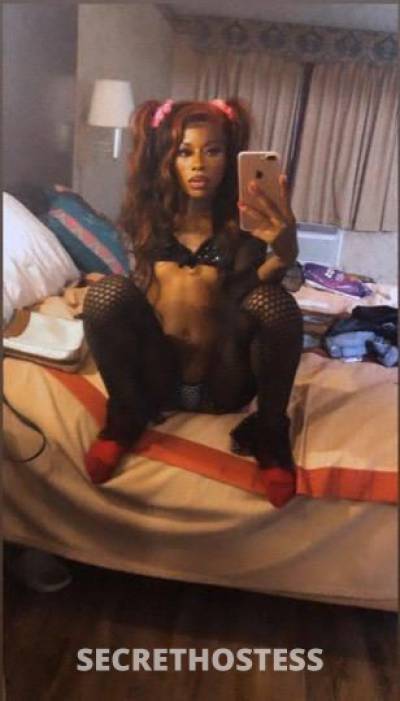 22Yrs Old Escort Houston TX Image - 2