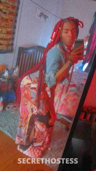 24 year old Escort in Chicago IL Midway airport area sadity pretty and sweet