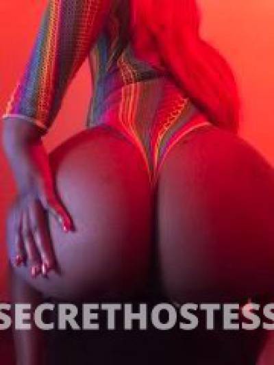 21Yrs Old Escort Bronx NY Image - 0