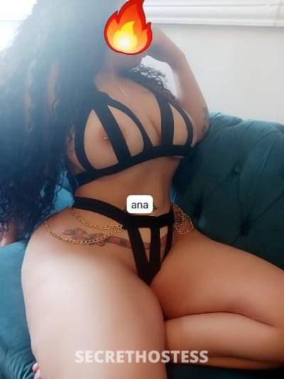 24Yrs Old Escort Bronx NY Image - 1