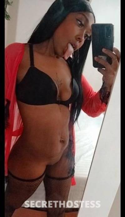 26Yrs Old Escort Rochester NY Image - 3