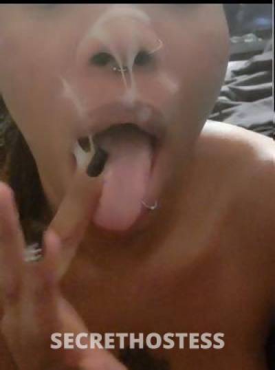 26Yrs Old Escort Westchester NY Image - 1