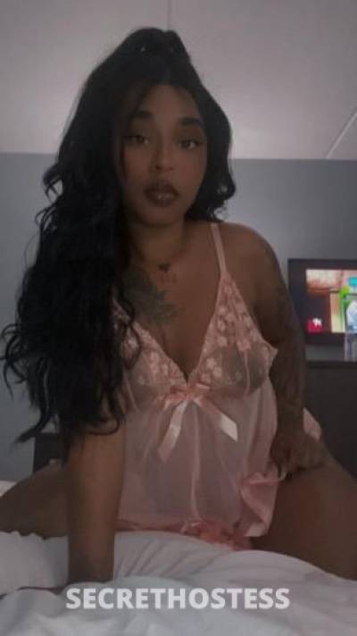 27 year old Escort in Raleigh NC I m 100 real ready to fuck available day and night Curvy Ass