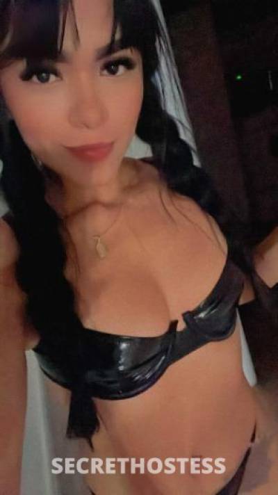 27Yrs Old Escort Westchester NY Image - 0