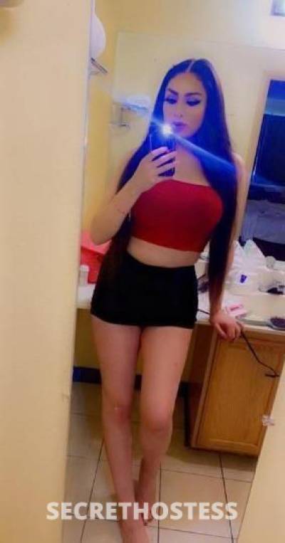 28Yrs Old Escort North Bay CA Image - 0