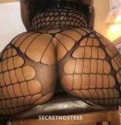 30Yrs Old Escort Size 6 149CM Tall Albany NY Image - 2