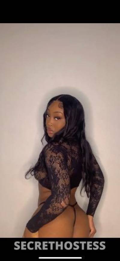 Aalijah 21Yrs Old Escort Denver CO Image - 1