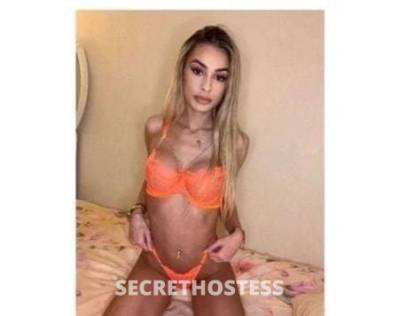 Aylin 22Yrs Old Escort East Midlands Image - 8