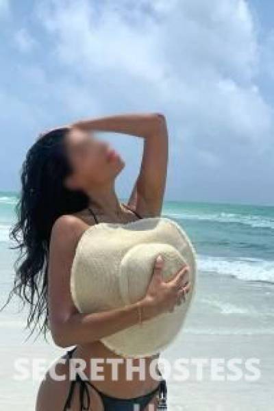 Rose 24Yrs Old Escort 160CM Tall London Image - 1