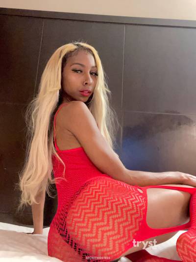 20 Year Old Ethiopian Escort Los Angeles CA Blonde - Image 8