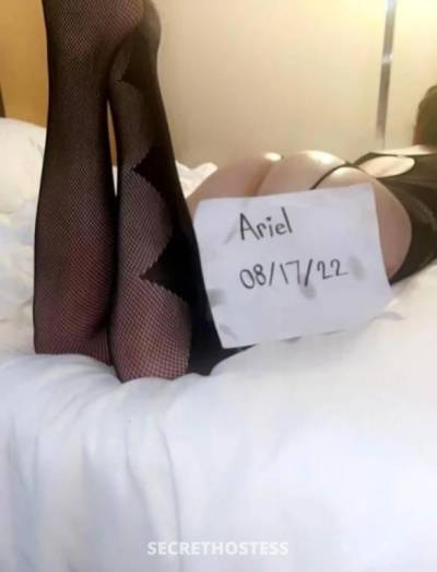 22Yrs Old Escort Size 14 Adelaide Image - 1