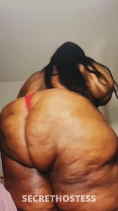 38Yrs Old Escort Corpus Christi TX Image - 3