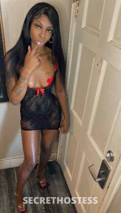 22Yrs Old Escort Los Angeles CA Image - 2