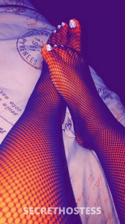 27Yrs Old Escort St. Louis MO Image - 2