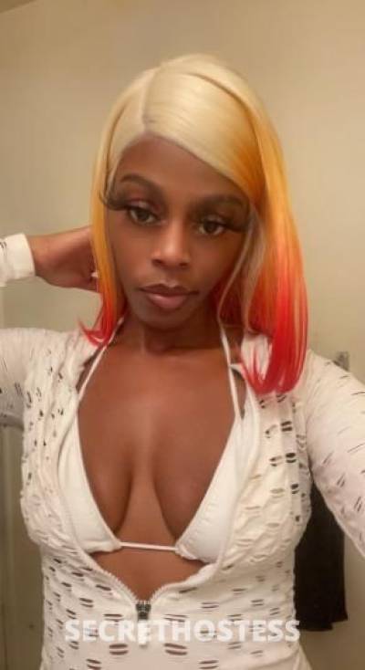 Ebony Queen Amazin Throat Boms Ass Tight Pussy Independent  in Southwest Mississippi MS