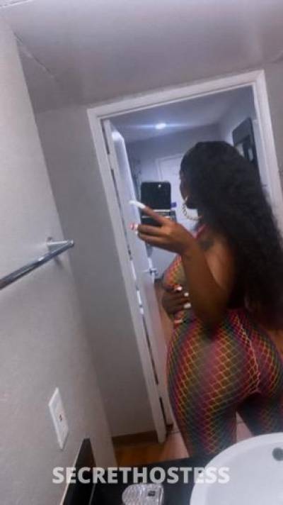 Morgan 25Yrs Old Escort New Orleans LA Image - 1