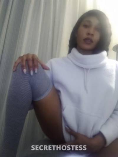 Sedouri 25Yrs Old Escort North Mississippi MS Image - 2