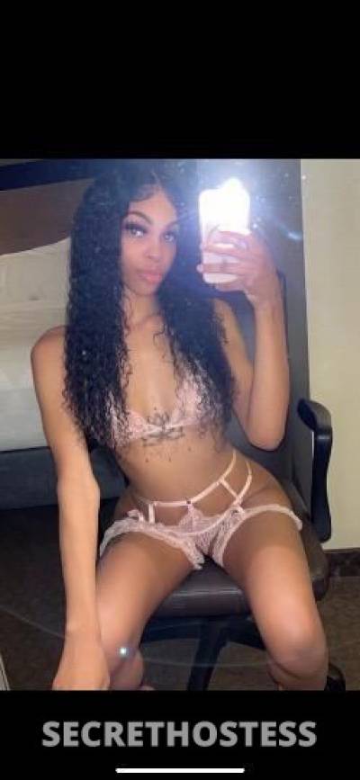 21Yrs Old Escort Houston TX Image - 1