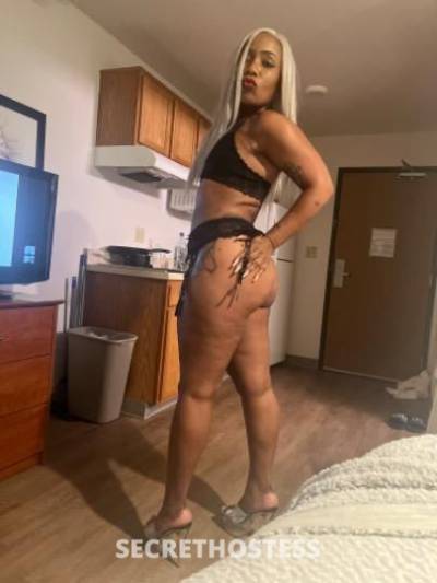 24Yrs Old Escort Houston TX Image - 1