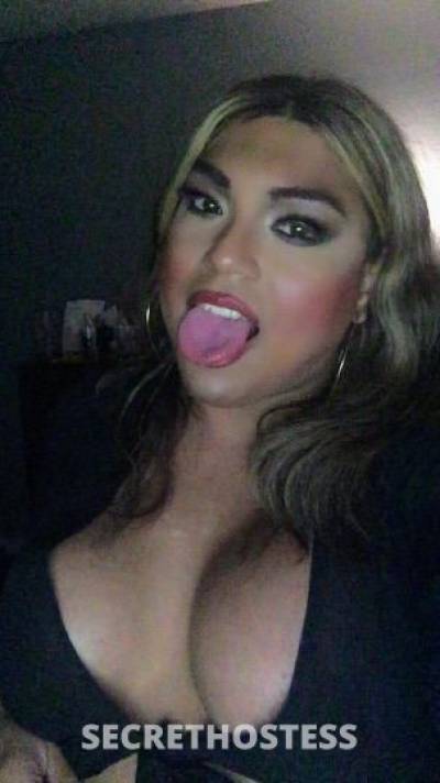 26Yrs Old Escort 167CM Tall San Antonio TX Image - 0