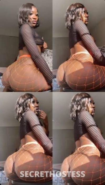 26Yrs Old Escort Los Angeles CA Image - 2