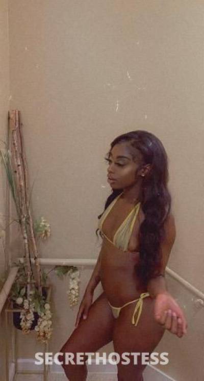 20Yrs Old Escort Lafayette LA Image - 0