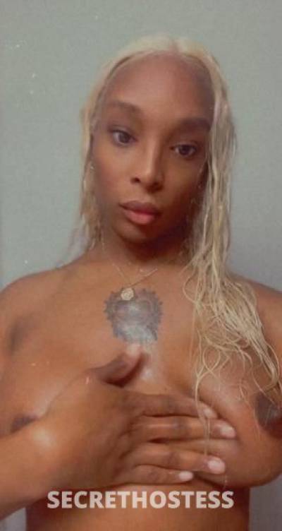 26Yrs Old Escort Queens NY Image - 0