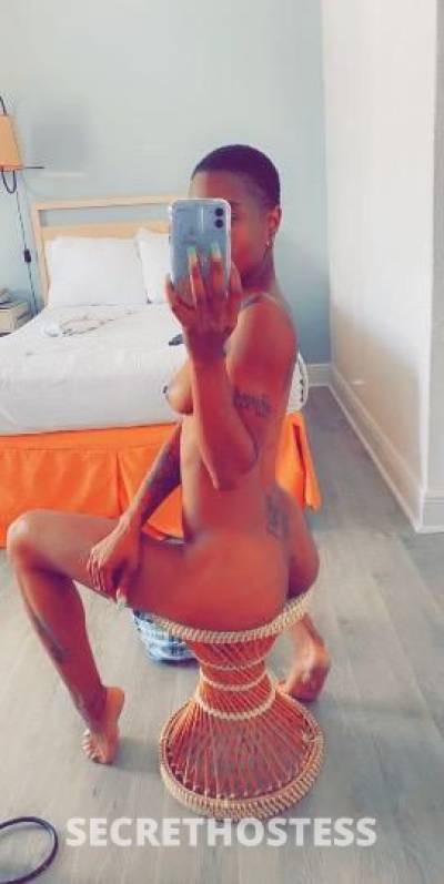 CHOCOLATE EBONY QUEEN Hot Body Tight Pussy Available For  in Frederick MD