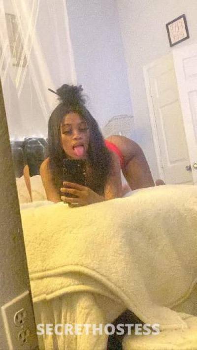 19Yrs Old Escort Dallas TX Image - 3