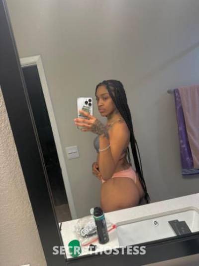 24Yrs Old Escort Houston TX Image - 3