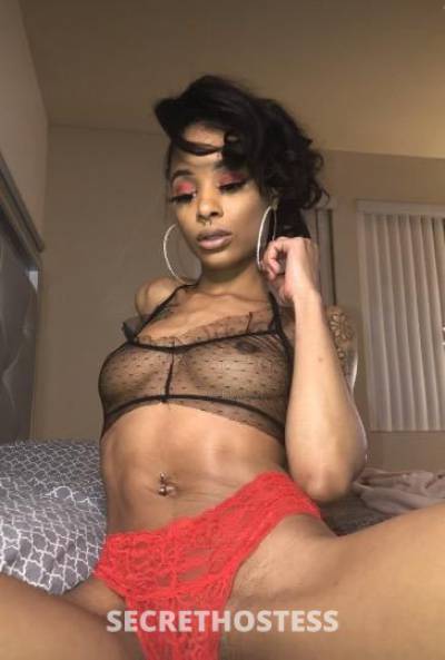 26Yrs Old Escort Houston TX Image - 1