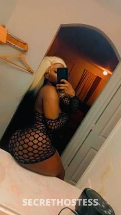 22Yrs Old Escort Dallas TX Image - 2