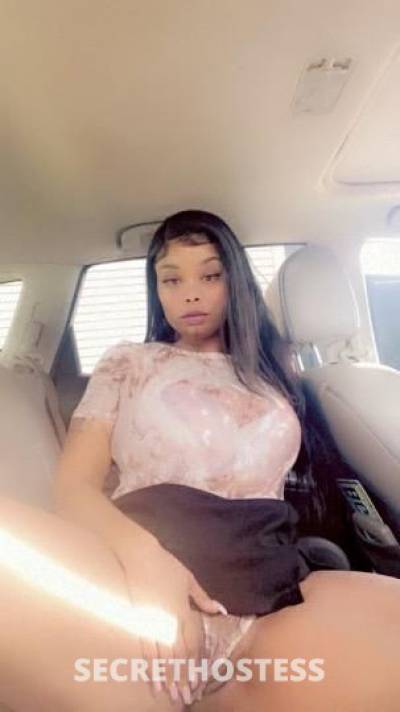 23 year old English Escort in New Haven CT BRITISH Dragon
