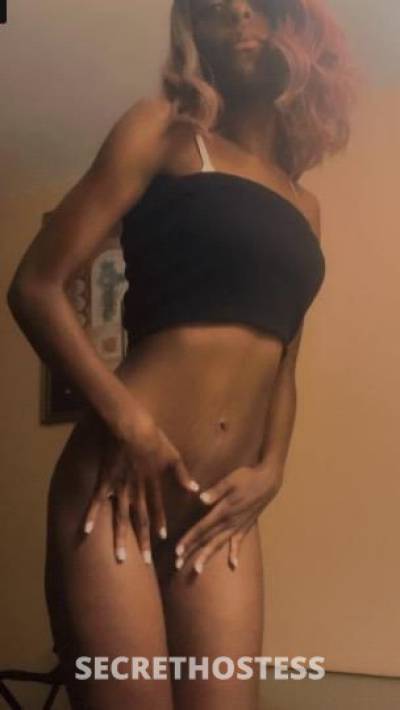 23Yrs Old Escort Fort Lauderdale FL Image - 2