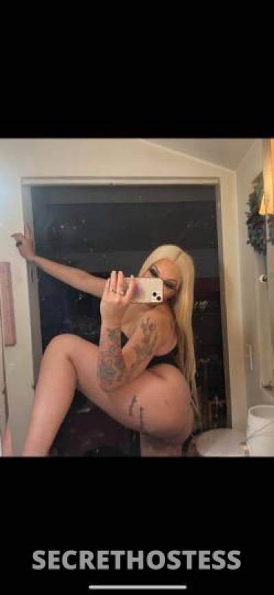 23Yrs Old Escort San Jose CA Image - 0