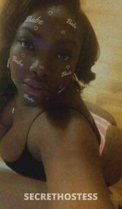 23Yrs Old Escort Tampa FL Image - 3