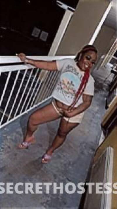 24Yrs Old Escort Jacksonville FL Image - 2