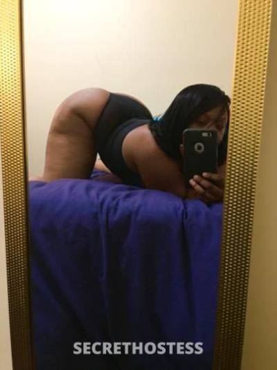 25Yrs Old Escort Jacksonville FL Image - 2