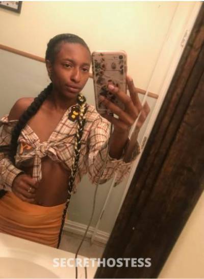 26Yrs Old Escort New Orleans LA Image - 1