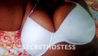 28Yrs Old Escort Tampa FL Image - 0