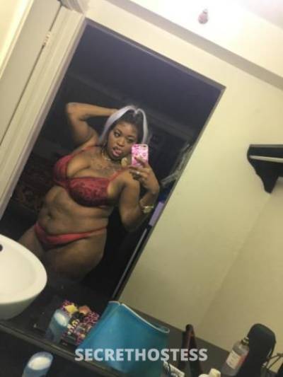 30Yrs Old Escort Dallas TX Image - 2