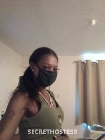 42Yrs Old Escort Fort Lauderdale FL Image - 1