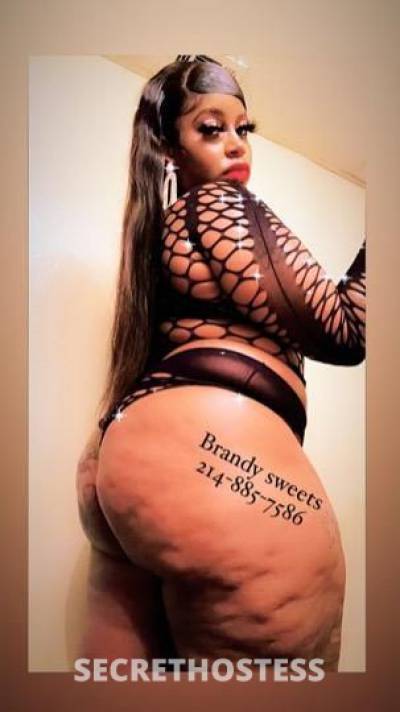 Brandy Sweets 25Yrs Old Escort Jackson MS Image - 0