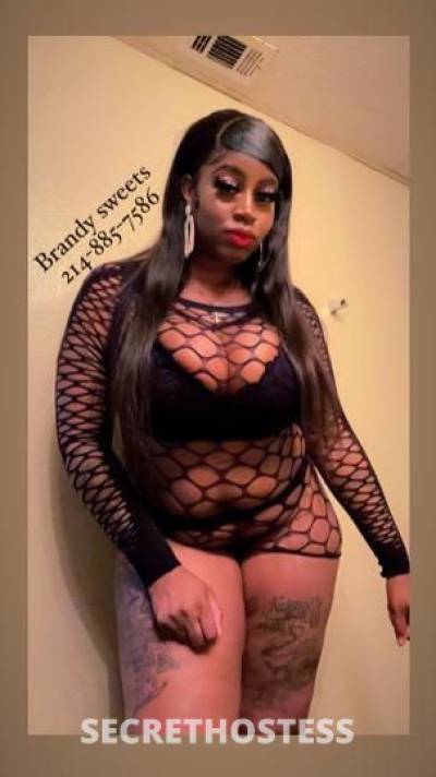 Brandy Sweets 25Yrs Old Escort Jackson MS Image - 2