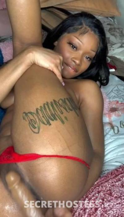 Bunny 25Yrs Old Escort Gainesville FL Image - 3