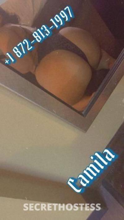 Camila 21Yrs Old Escort Chicago IL Image - 0