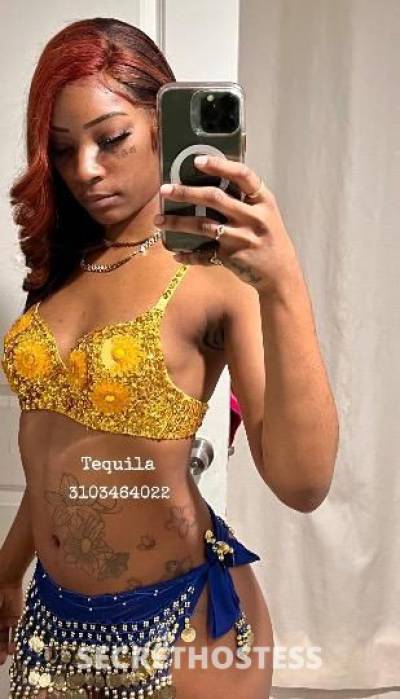 Tequila 23Yrs Old Escort Los Angeles CA Image - 0