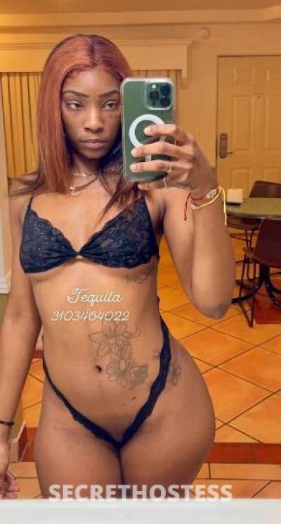 Tequila 23Yrs Old Escort Los Angeles CA Image - 1