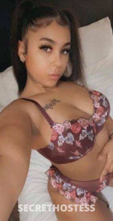 Yesmine 26Yrs Old Escort Corpus Christi TX Image - 1