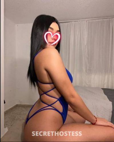 26Yrs Old Escort Bronx NY Image - 2